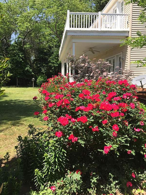 The Baywood Bed & Breakfast 케이프찰스 외부 사진